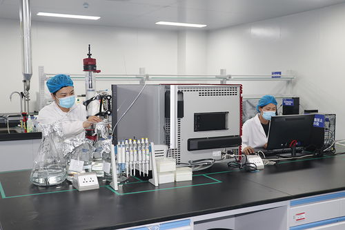 2021聚焦烟台县域经济 石药集团烟台生物医药高科技产业园二期项目